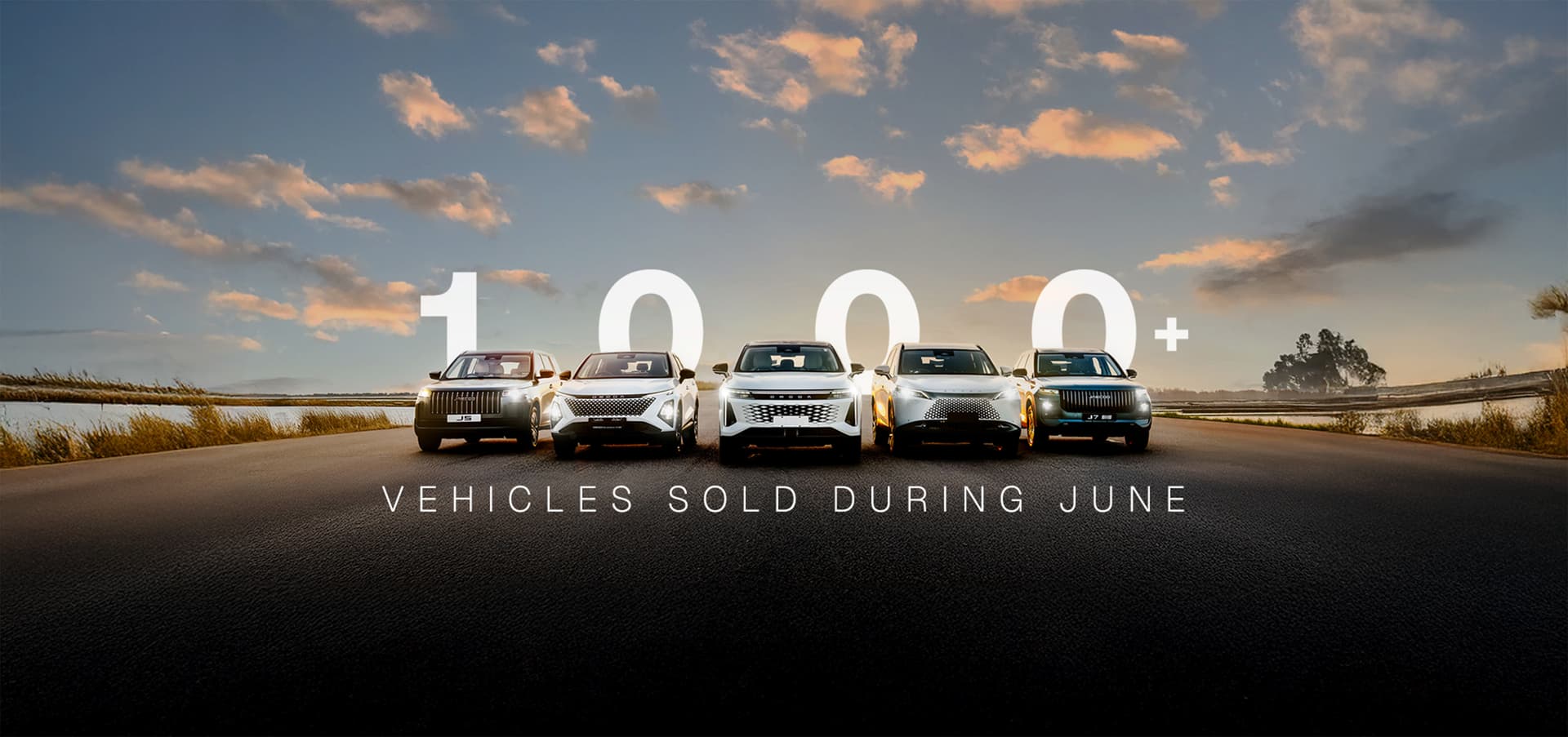 1000+ Sales