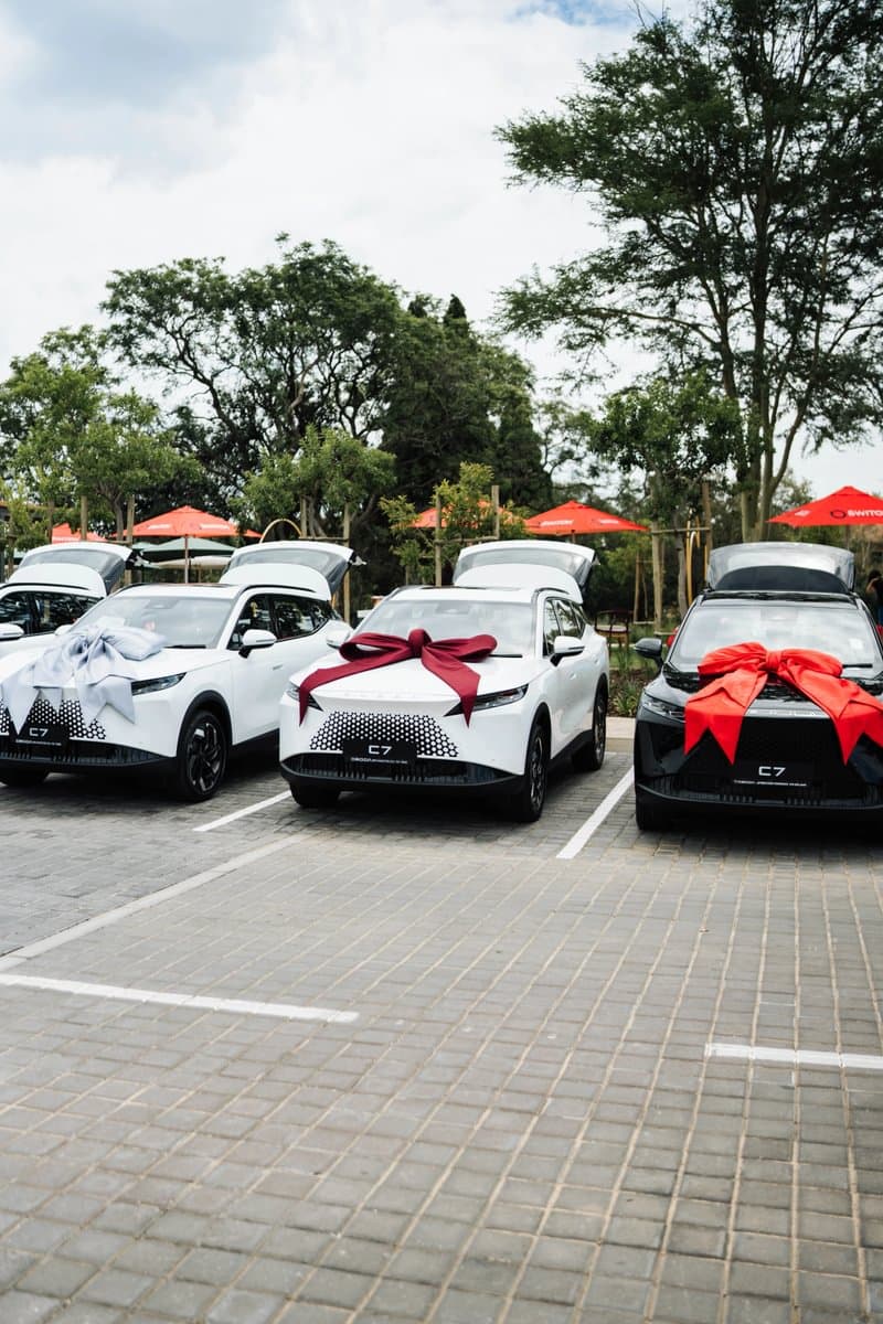 Birthday celebration — photo 16