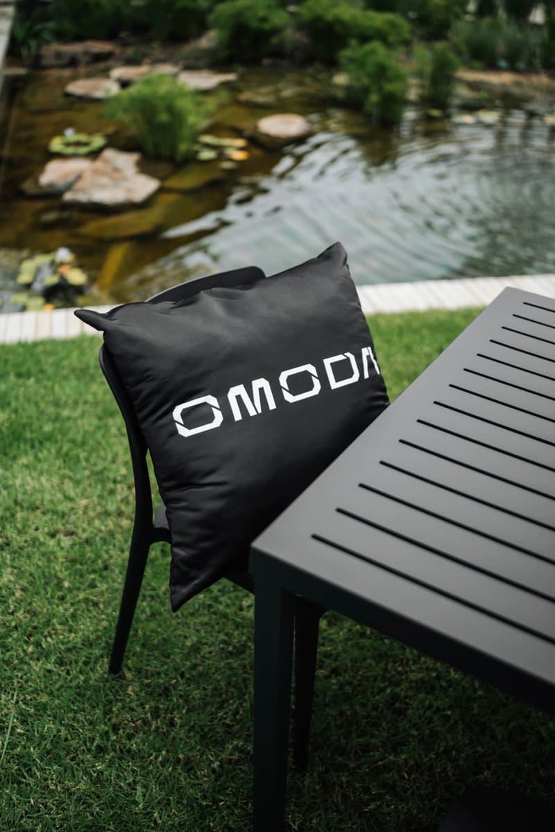 Birthday celebration — photo 17